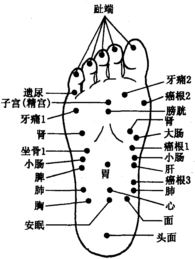 本疗法亦是以经络学说为基础,通过足与经脉,脏腑,气血的密切关系,刺激